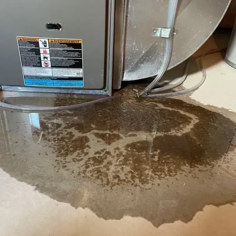 Appliance Leak Cleanup in Saint Clair County, MO